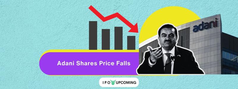Adani Shares Price Falls