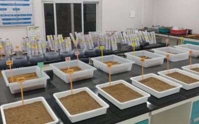Seed testing laboratory