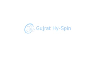 Gujarat Hy-Spin Ltd IPO