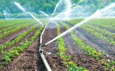 micro irrigation systems