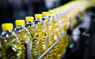 edible oils manufacturing industry