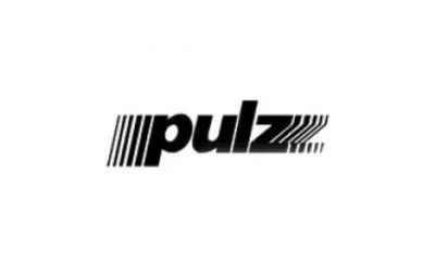 Pulz Electronics IPO