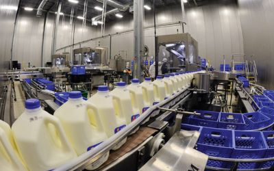 milk products manufacturing plant IPO