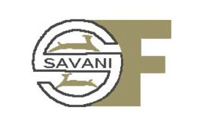 savani-financials-industry-aside